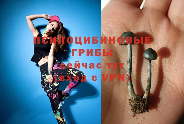 не бодяженный Вязники